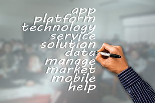 星空game官网-瑞典队未来:如何建立更具竞争力的国际品牌,瑞典队分析