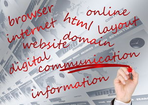 星空game官网-瑞典队未来:如何建立更具竞争力的国际品牌,瑞典队分析